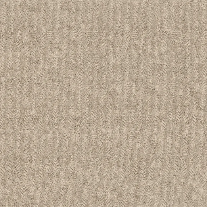 Anderson Tuftex Ario — Cream Soda · ZZ222-00113 — flooring selection with LeviArs Design & Remodeling