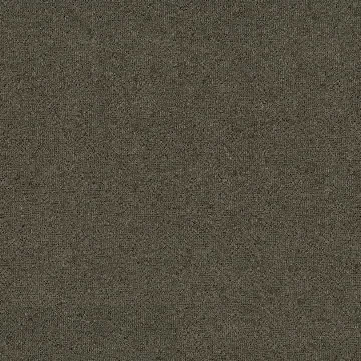 Anderson Tuftex Ario — Deep Space · ZZ222-00548 — flooring selection with LeviArs Design & Remodeling