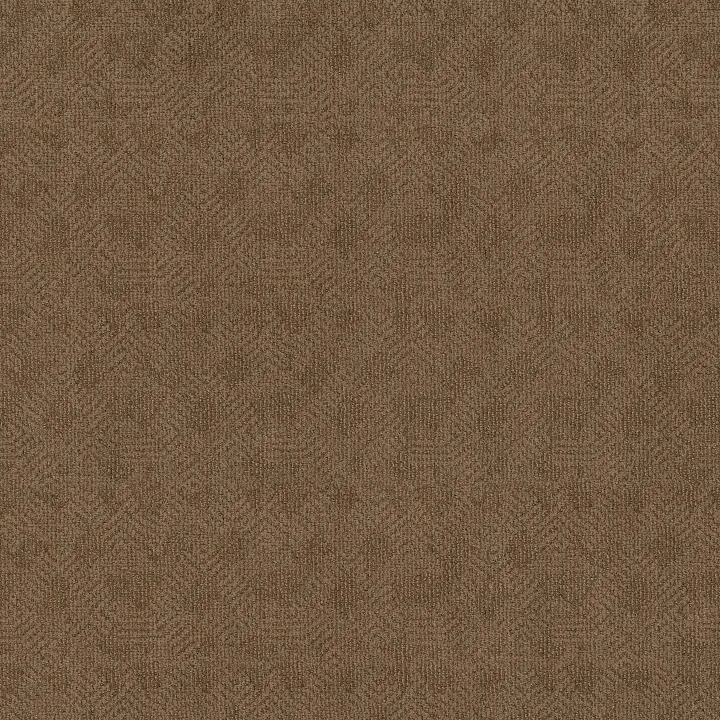 Anderson Tuftex Ario — Desert Beach · ZZ222-00765 — flooring selection with LeviArs Design & Remodeling