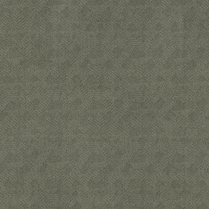 Anderson Tuftex Ario — Enchanted · ZZ222-00347 — flooring selection with LeviArs Design & Remodeling