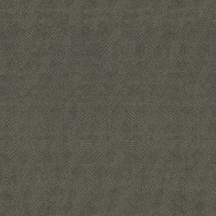 Anderson Tuftex Ario — Gunmetal · ZZ222-00558 — flooring selection with LeviArs Design & Remodeling