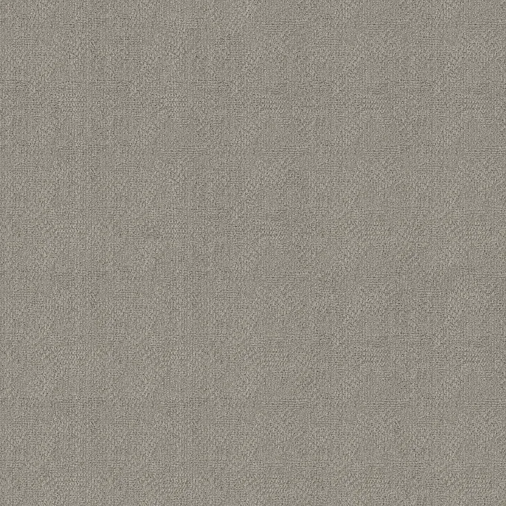 Anderson Tuftex Ario — Ice Formation · ZZ222-00551 — flooring selection with LeviArs Design & Remodeling
