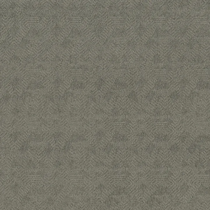 Anderson Tuftex Ario — Scenic Drive · ZZ222-00344 — flooring selection with LeviArs Design & Remodeling