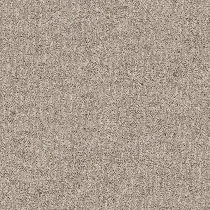Anderson Tuftex Ario — Smokey Taupe · ZZ222-00571 — flooring selection with LeviArs Design & Remodeling