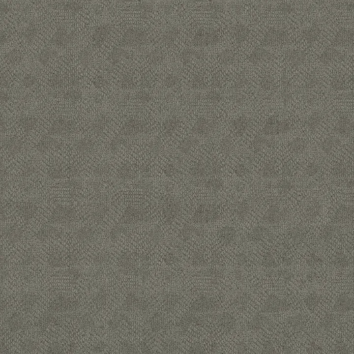 Anderson Tuftex Ario — Stonewall · ZZ222-00545 — flooring selection with LeviArs Design & Remodeling