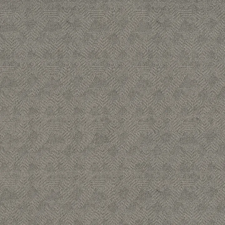 Anderson Tuftex Ario — Swept Away · ZZ222-00541 — flooring selection with LeviArs Design & Remodeling