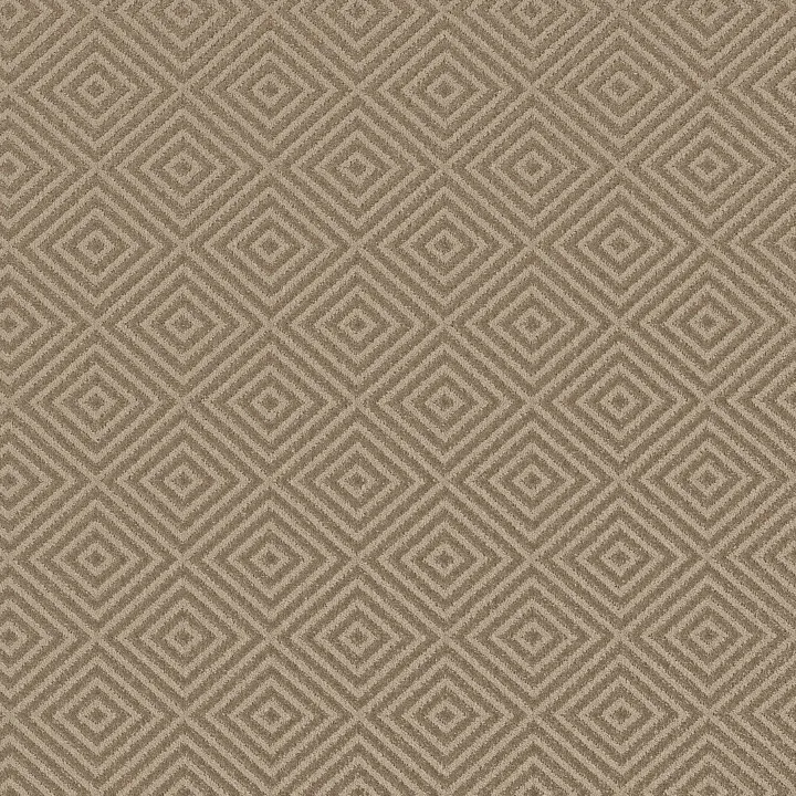 Anderson Tuftex Aristocrat — Birchwood · ZZ227-00712 — flooring selection with LeviArs Design & Remodeling
