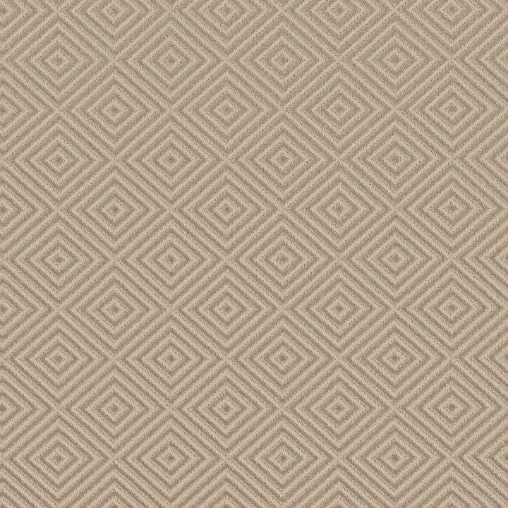 Anderson Tuftex Aristocrat — Cashmere · ZZ227-00173 — flooring selection with LeviArs Design & Remodeling
