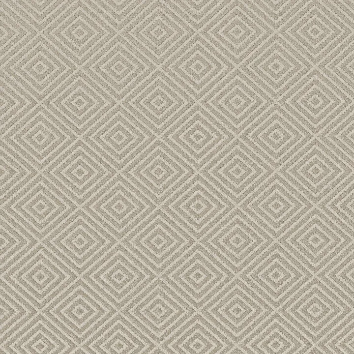 Anderson Tuftex Aristocrat — Droplets · ZZ227-00512 — flooring selection with LeviArs Design & Remodeling