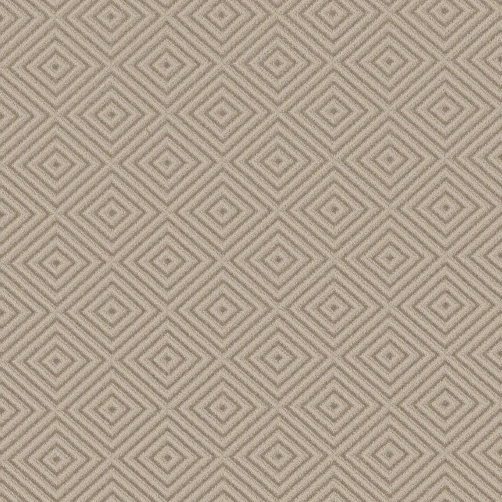 Anderson Tuftex Aristocrat — Linen · ZZ227-00172 — flooring selection with LeviArs Design & Remodeling