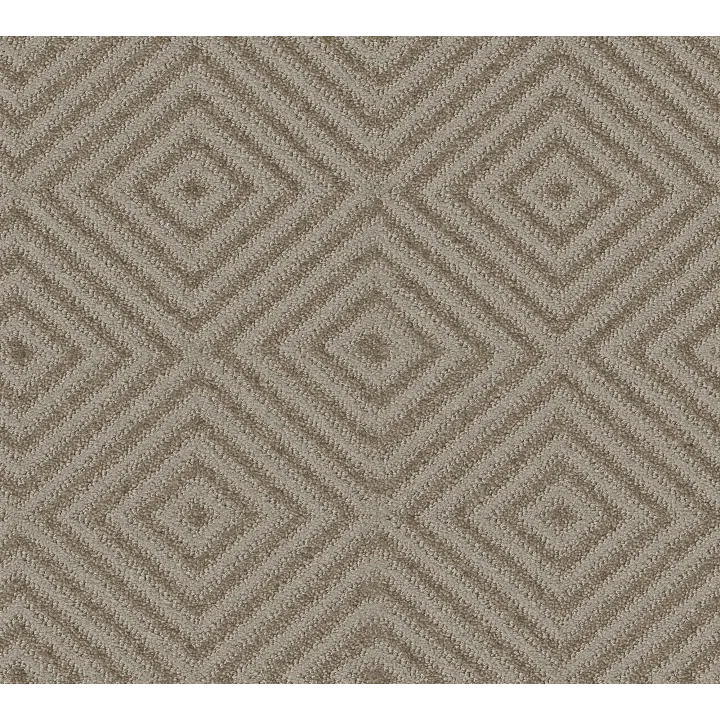 Anderson Tuftex Aristocrat — Shady · ZZ227-00534 — flooring selection with LeviArs Design & Remodeling