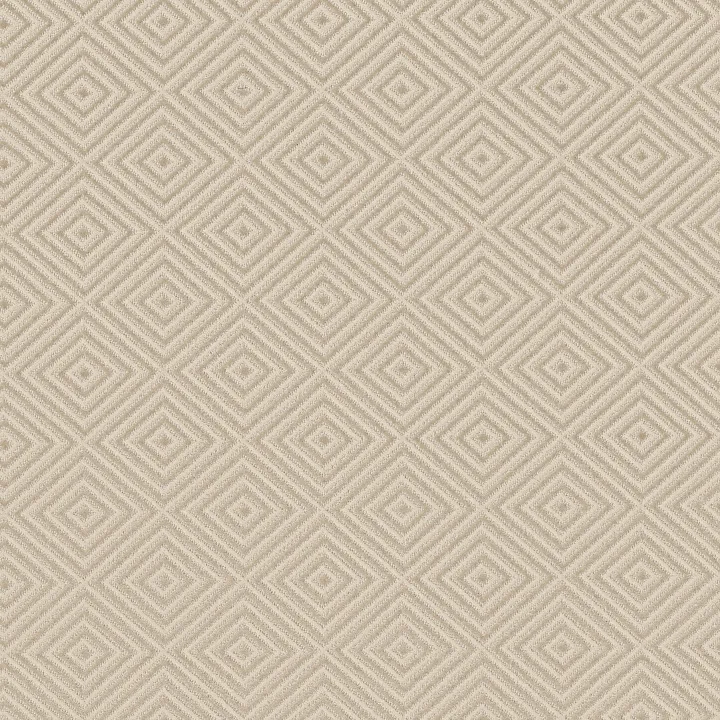 Anderson Tuftex Aristocrat — Sparkling · ZZ227-00124 — flooring selection with LeviArs Design & Remodeling