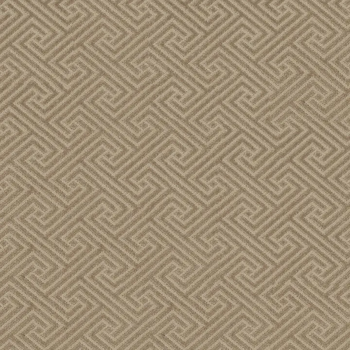 Anderson Tuftex Artifact — Birchwood · ZZ226-00712 — flooring selection with LeviArs Design & Remodeling