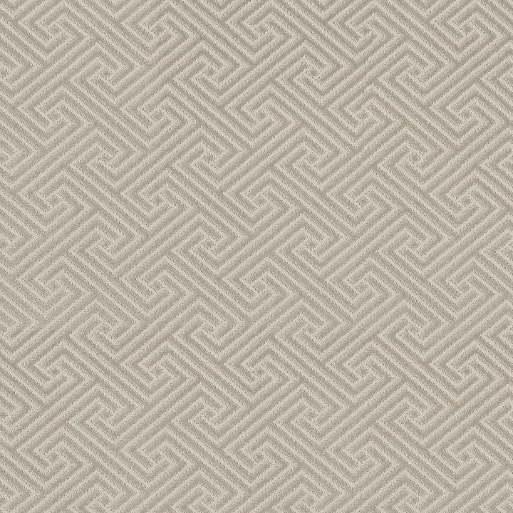 Anderson Tuftex Artifact — Droplets · ZZ226-00512 — flooring selection with LeviArs Design & Remodeling
