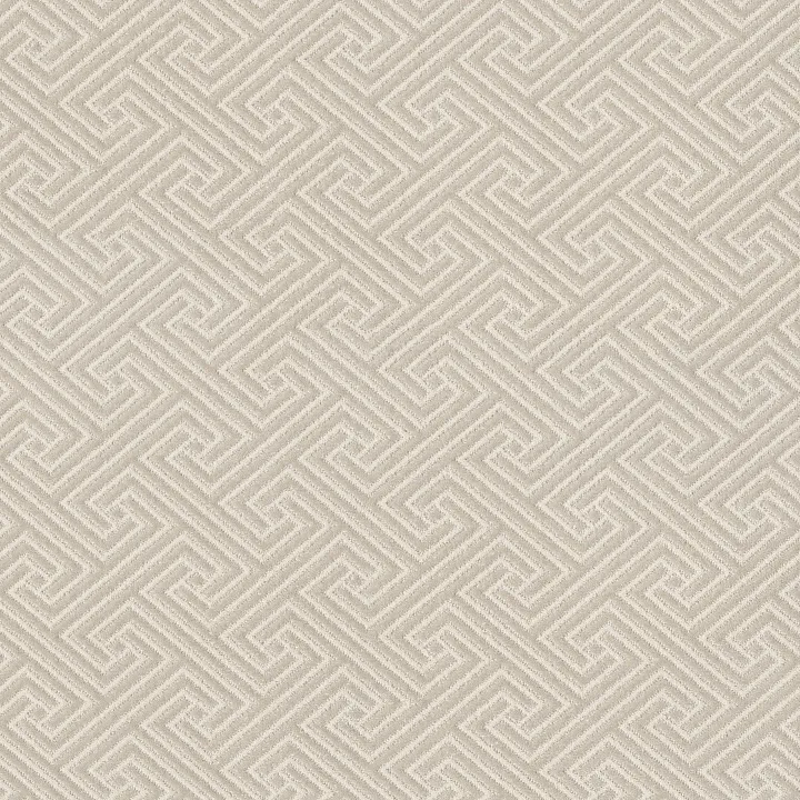 Anderson Tuftex Artifact — Early Snow · ZZ226-00122 — flooring selection with LeviArs Design & Remodeling
