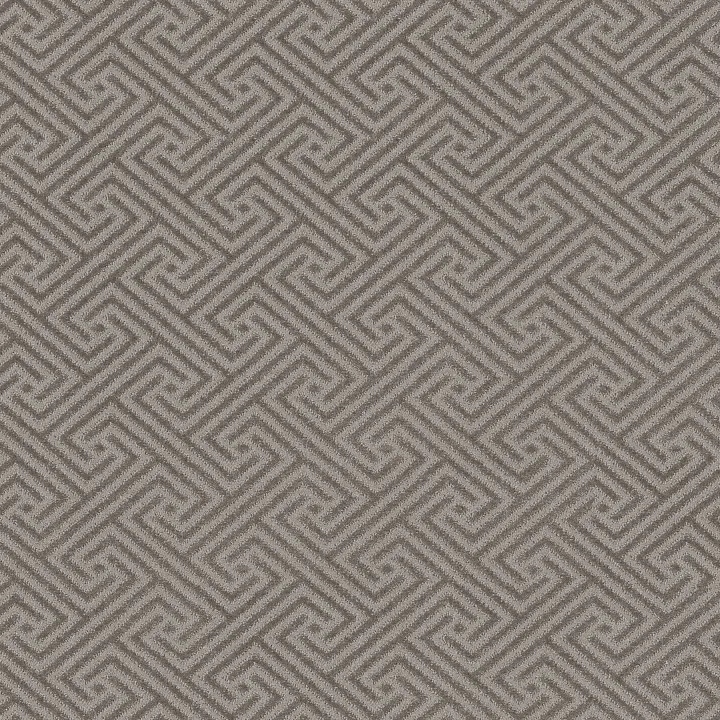 Anderson Tuftex Artifact — Silver Polish · ZZ226-00546 — flooring selection with LeviArs Design & Remodeling