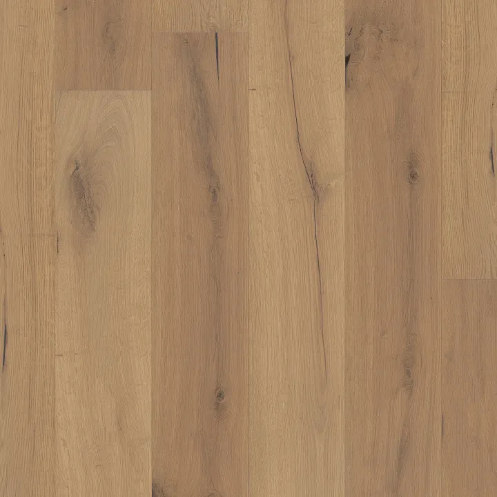 Anderson Tuftex Artisan Oak — Bristle · AA860-11114 — flooring selection with LeviArs Design & Remodeling