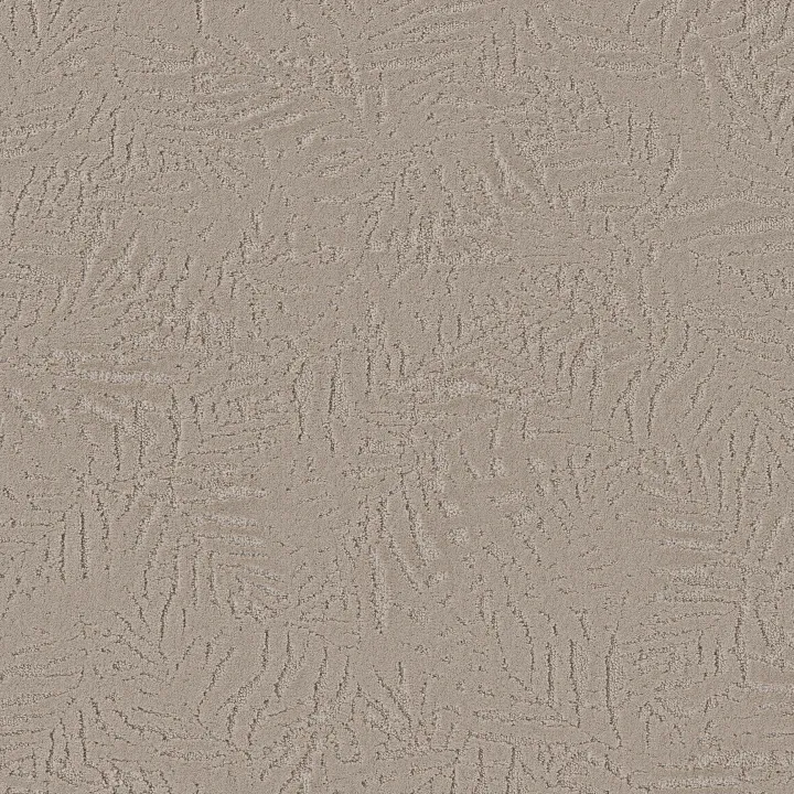 Anderson Tuftex Autograph — Glass Of Bubbly · ZZ363-00103 — flooring selection with LeviArs Design & Remodeling