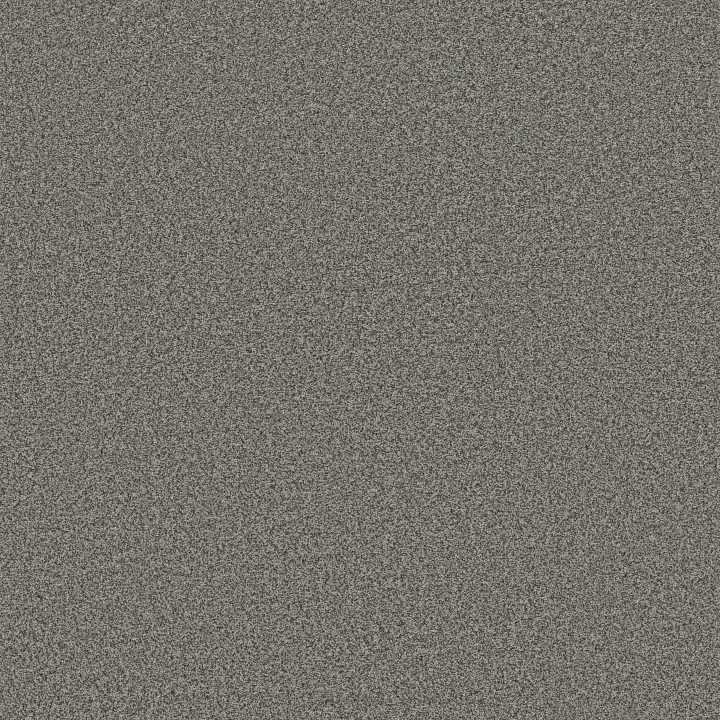 Anderson Tuftex Avalon Bay — Asphalt · ZZ278-00556 — flooring selection with LeviArs Design & Remodeling
