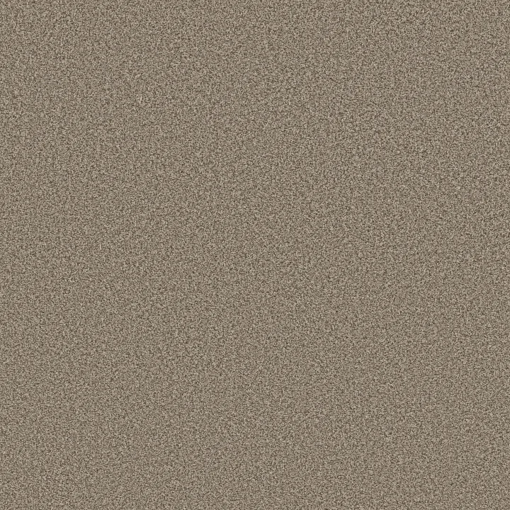Anderson Tuftex Avalon Bay — Chic Taupe · ZZ278-00753 — flooring selection with LeviArs Design & Remodeling