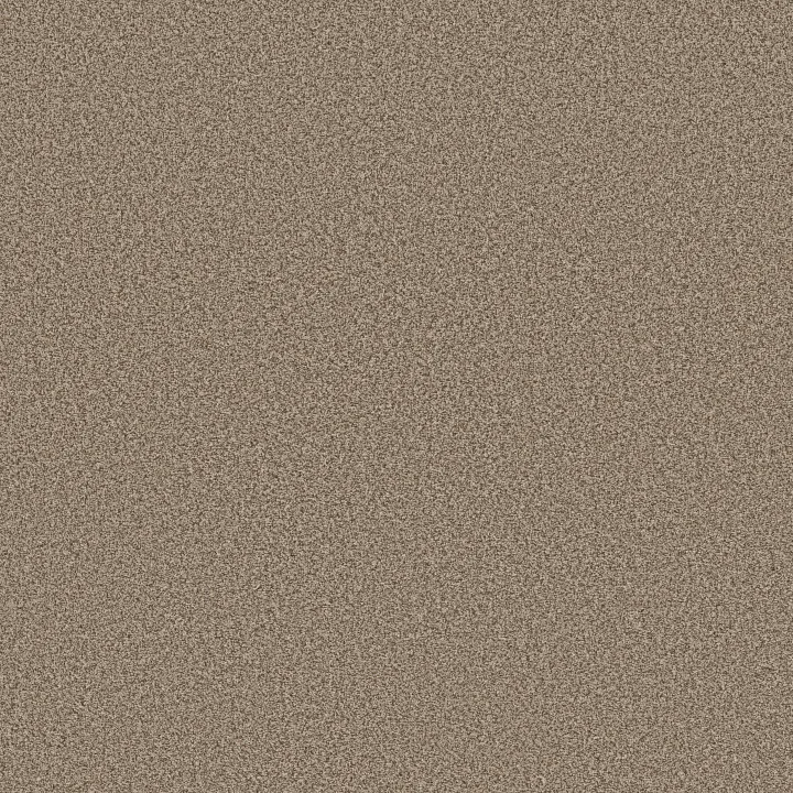Anderson Tuftex Avalon Bay — Distant Land · ZZ278-00715 — flooring selection with LeviArs Design & Remodeling