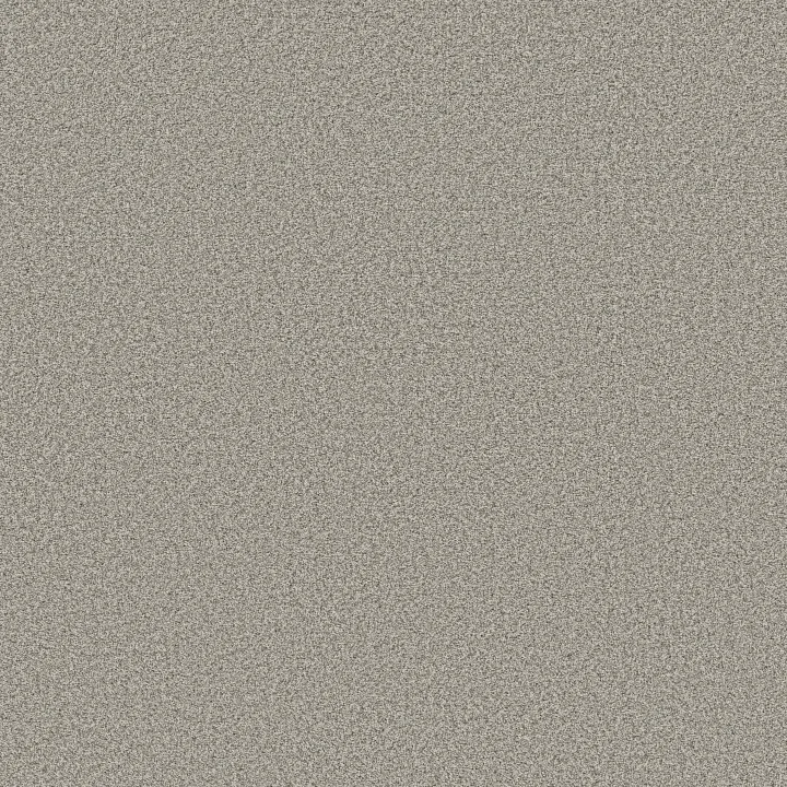 Anderson Tuftex Avalon Bay — Moth Gray · ZZ278-00551 — flooring selection with LeviArs Design & Remodeling