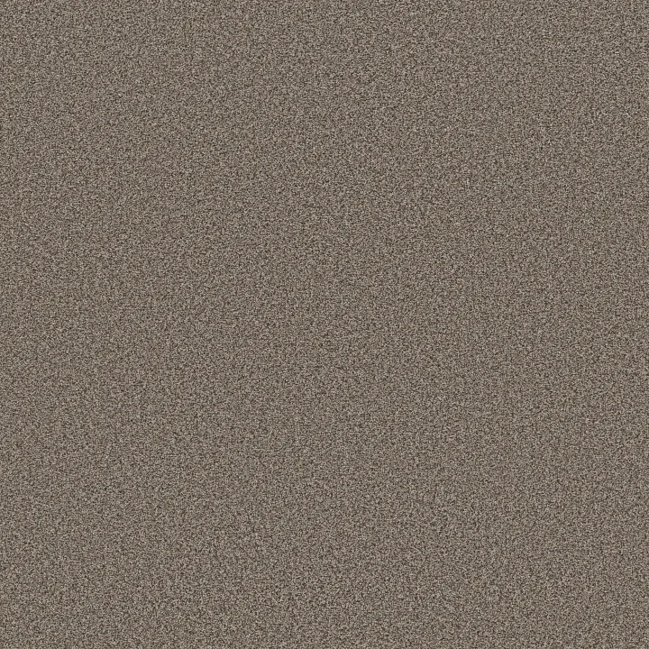 Anderson Tuftex Avalon Bay — Ottertail · ZZ278-00576 — flooring selection with LeviArs Design & Remodeling