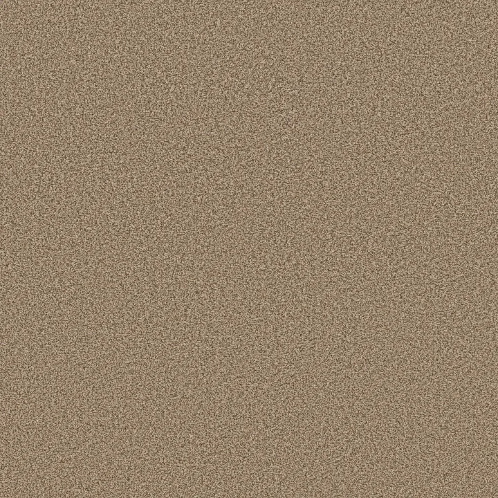 Anderson Tuftex Avalon Bay — Powdered Gold · ZZ278-00225 — flooring selection with LeviArs Design & Remodeling