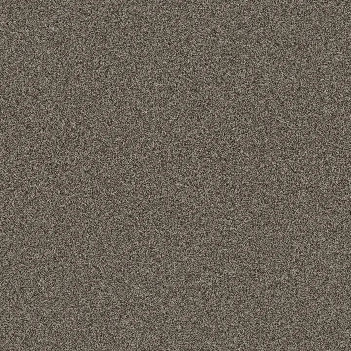 Anderson Tuftex Avalon Bay — Sable · ZZ278-00756 — flooring selection with LeviArs Design & Remodeling