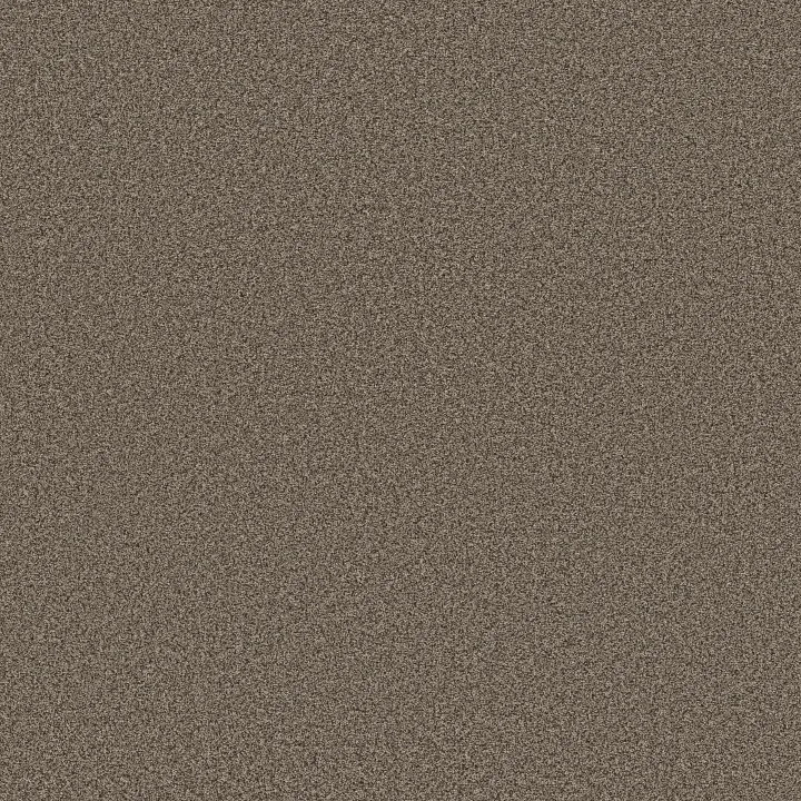 Anderson Tuftex Avalon Bay — Smokehouse · ZZ278-00776 — flooring selection with LeviArs Design & Remodeling