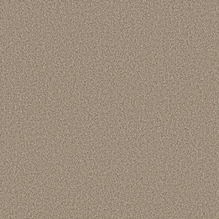 Anderson Tuftex Avalon Bay — Sugar Cookie · ZZ278-00173 — flooring selection with LeviArs Design & Remodeling