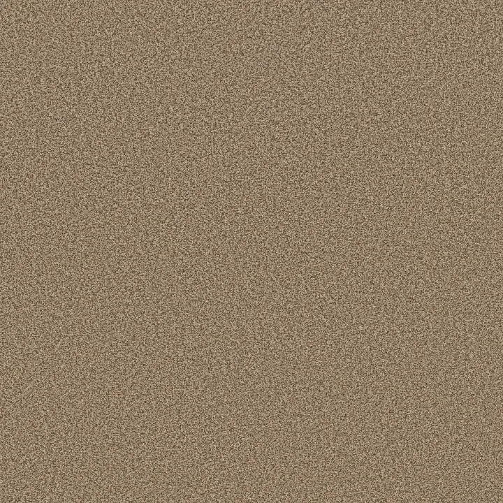 Anderson Tuftex Avalon Bay — Toasty · ZZ278-00275 — flooring selection with LeviArs Design & Remodeling