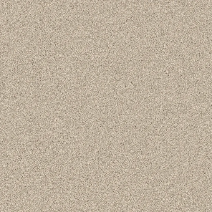 Anderson Tuftex Avalon Bay — Windswept · ZZ278-00222 — flooring selection with LeviArs Design & Remodeling