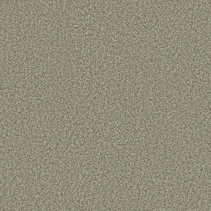 Anderson Tuftex Bella Nova — Highlands · ZZ378-00310 — flooring selection with LeviArs Design & Remodeling