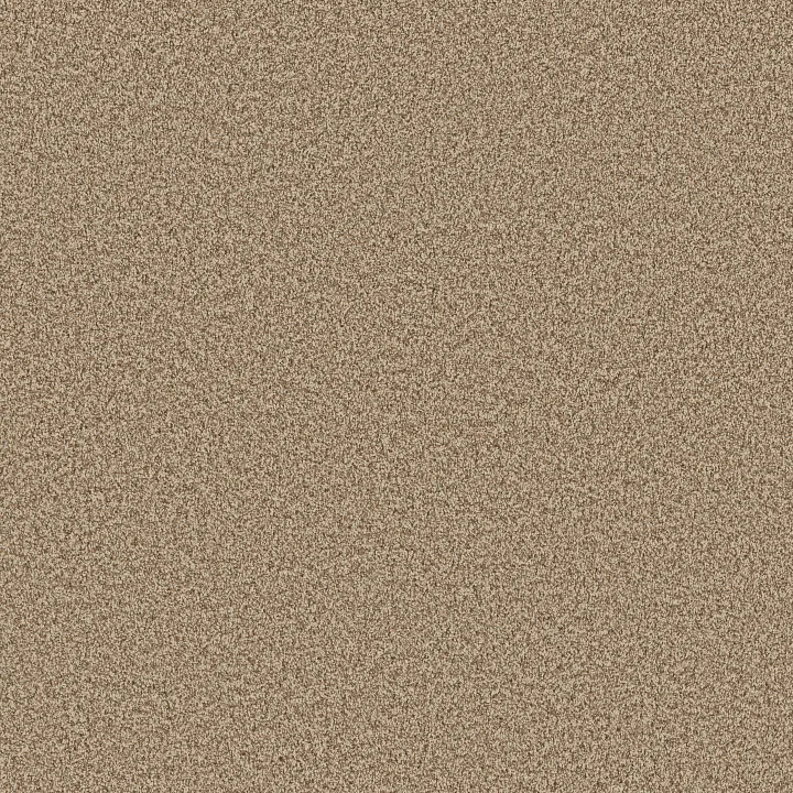 Anderson Tuftex Bella Nova — Nutshell · ZZ378-00764 — flooring selection with LeviArs Design & Remodeling
