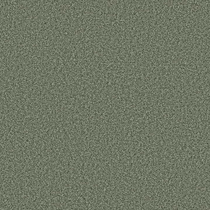 Anderson Tuftex Bella Nova — Oak Grove · ZZ378-00320 — flooring selection with LeviArs Design & Remodeling