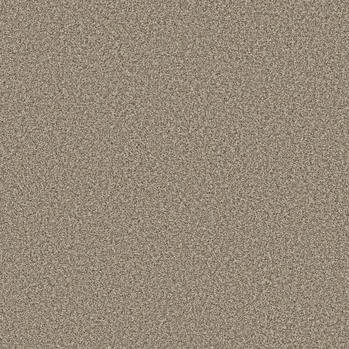 Anderson Tuftex Bella Nova — Pashmina · ZZ378-00754 — flooring selection with LeviArs Design & Remodeling
