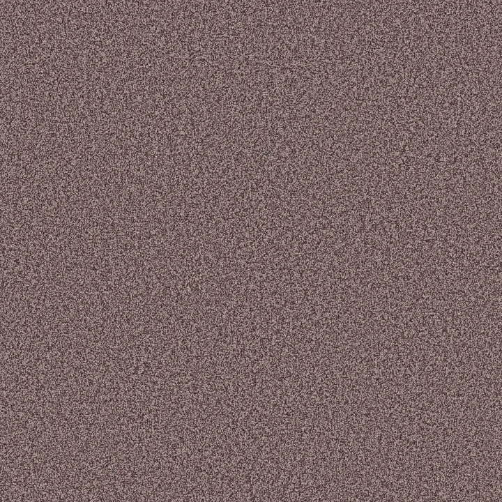 Anderson Tuftex Bella Nova — Reverie · ZZ378-00950 — flooring selection with LeviArs Design & Remodeling