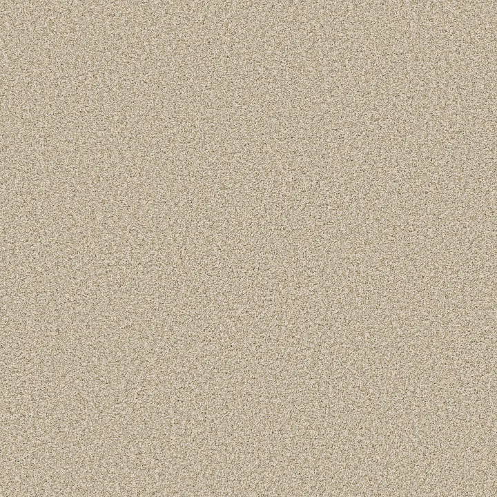Anderson Tuftex Bella Nova — Soft Linen · ZZ378-00120 — flooring selection with LeviArs Design & Remodeling