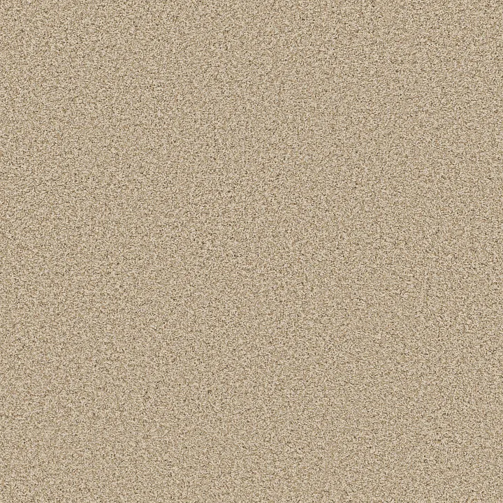 Anderson Tuftex Bossa Nova — Beach Grass · ZZ275-00223 — flooring selection with LeviArs Design & Remodeling