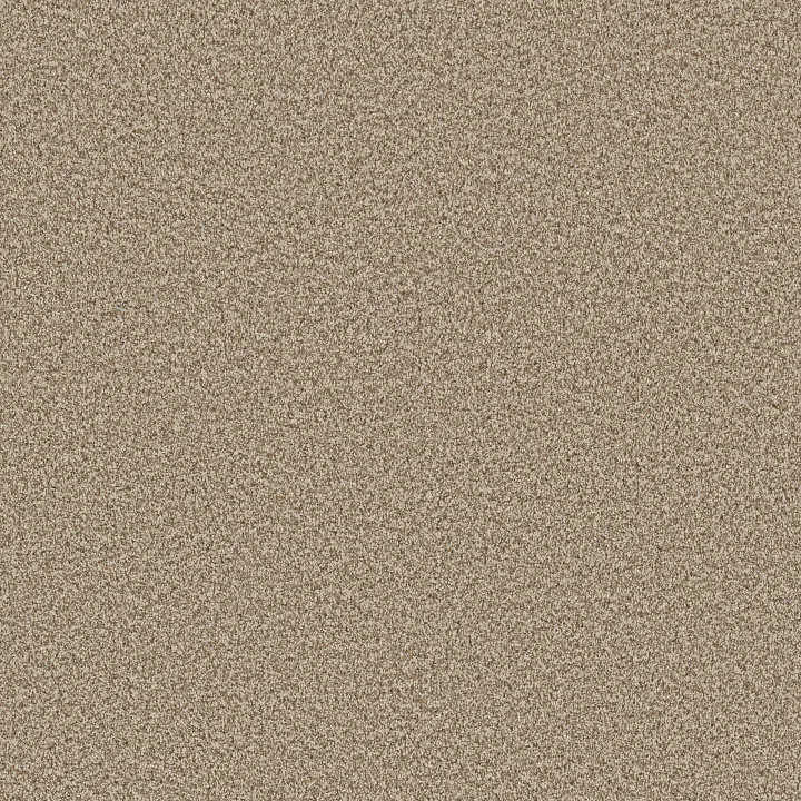 Anderson Tuftex Bossa Nova — Cascade · ZZ275-00724 — flooring selection with LeviArs Design & Remodeling