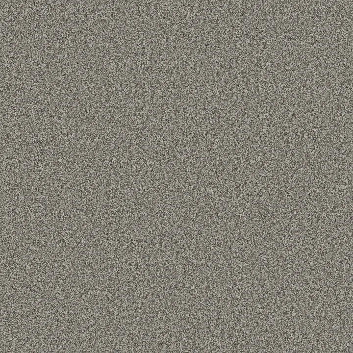 Anderson Tuftex Bossa Nova — Chelsea Fog · ZZ275-00544 — flooring selection with LeviArs Design & Remodeling