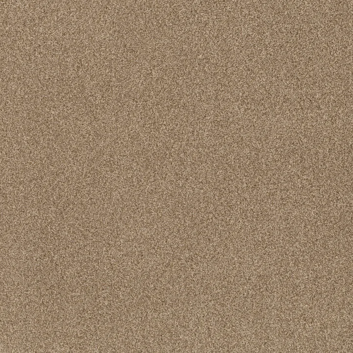 Anderson Tuftex Bossa Nova — Hazel · ZZ275-00226 — flooring selection with LeviArs Design & Remodeling