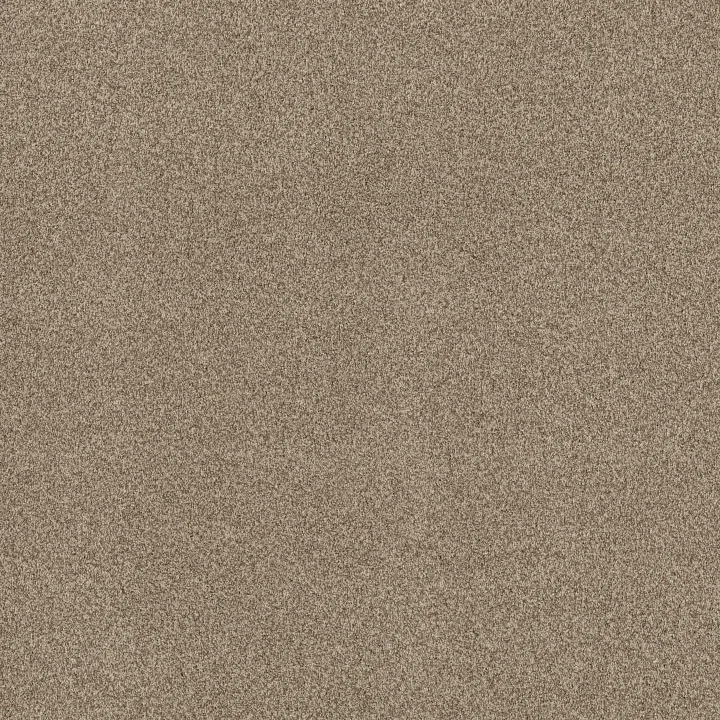 Anderson Tuftex Bossa Nova — Landscape · ZZ275-00734 — flooring selection with LeviArs Design & Remodeling