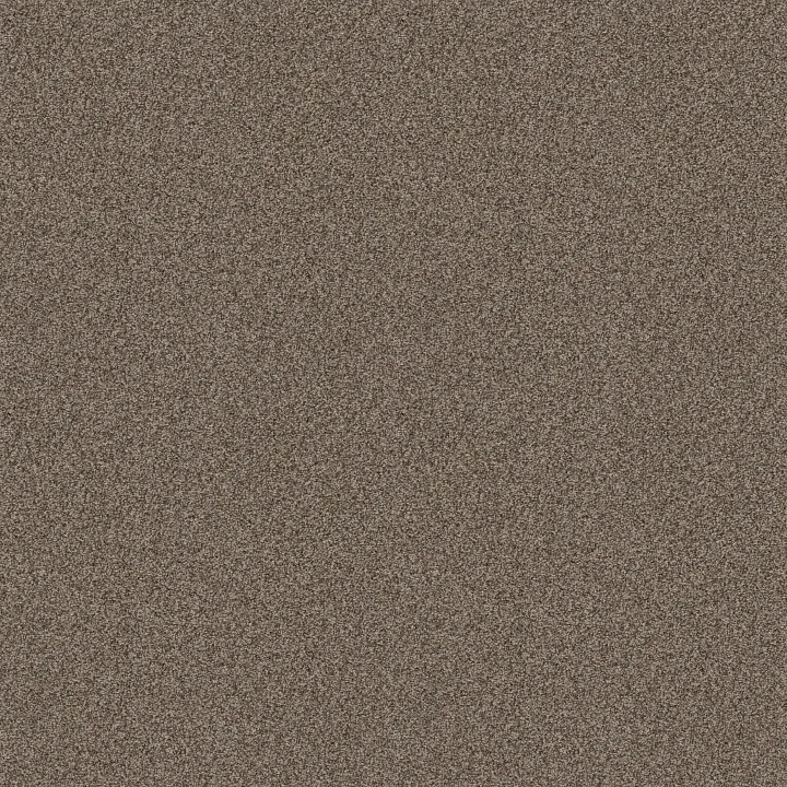 Anderson Tuftex Bossa Nova — Palm Desert · ZZ275-00756 — flooring selection with LeviArs Design & Remodeling