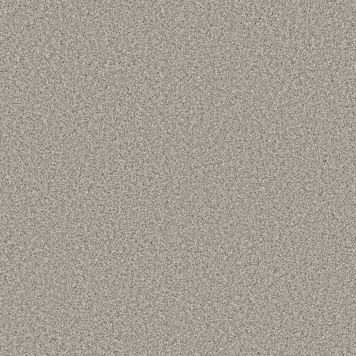 Anderson Tuftex Bossa Nova — Platinum · ZZ275-00552 — flooring selection with LeviArs Design & Remodeling