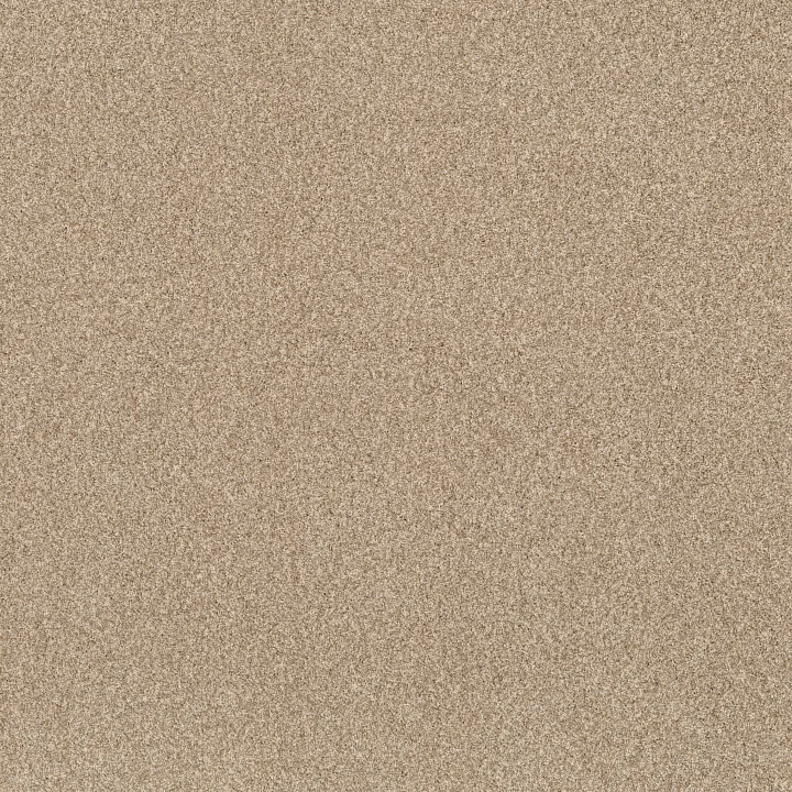 Anderson Tuftex Bossa Nova — Reed · ZZ275-00224 — flooring selection with LeviArs Design & Remodeling