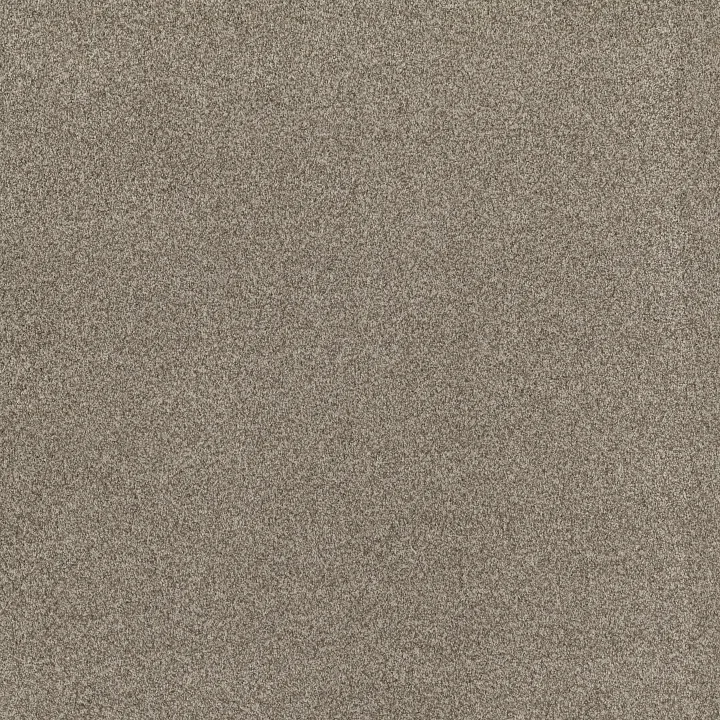 Anderson Tuftex Bossa Nova — Urban Nature · ZZ275-00534 — flooring selection with LeviArs Design & Remodeling
