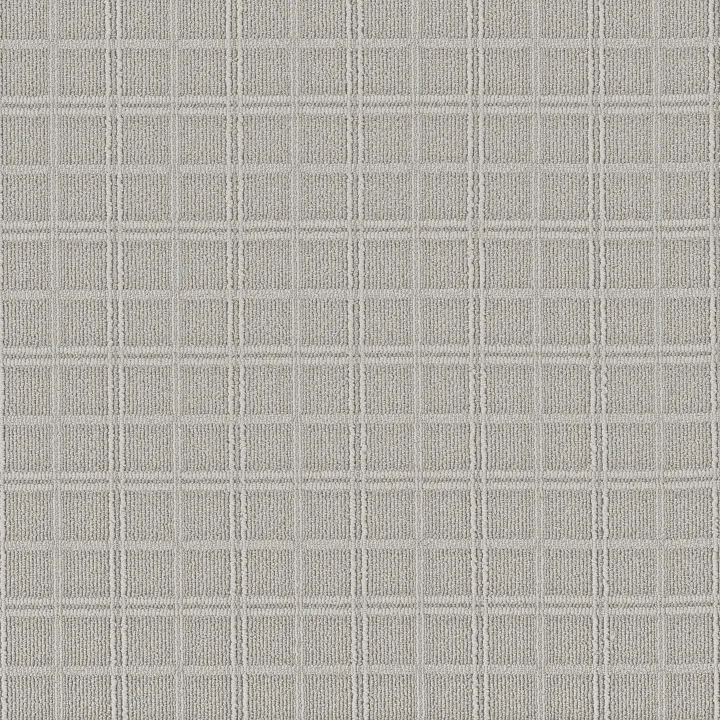 Anderson Tuftex Breeze Block — Blustery · ZZ291-00352 — flooring selection with LeviArs Design & Remodeling