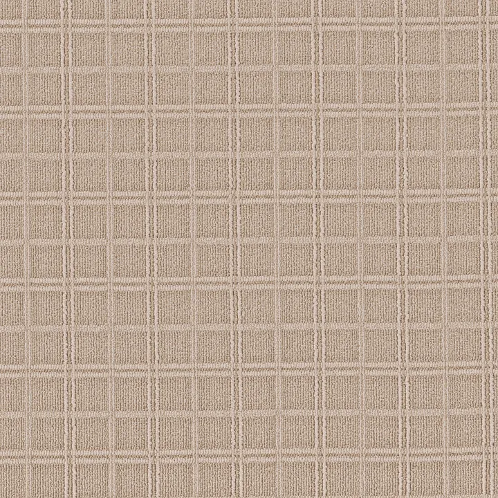 Anderson Tuftex Breeze Block — Boutique · ZZ291-00224 — flooring selection with LeviArs Design & Remodeling